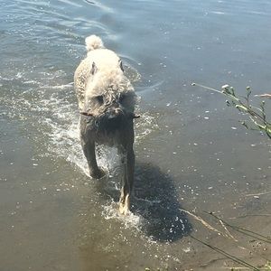 Meet your Posher, Chloe